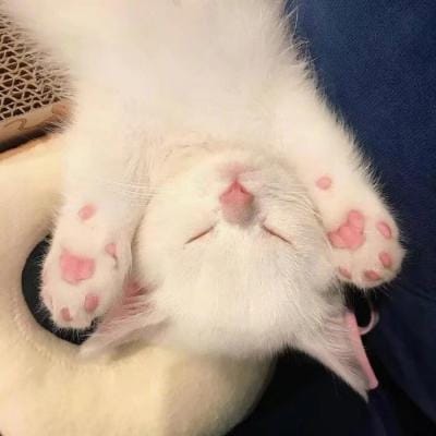 Dewi Lestari profile picture