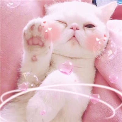 Fajar Rahman profile picture